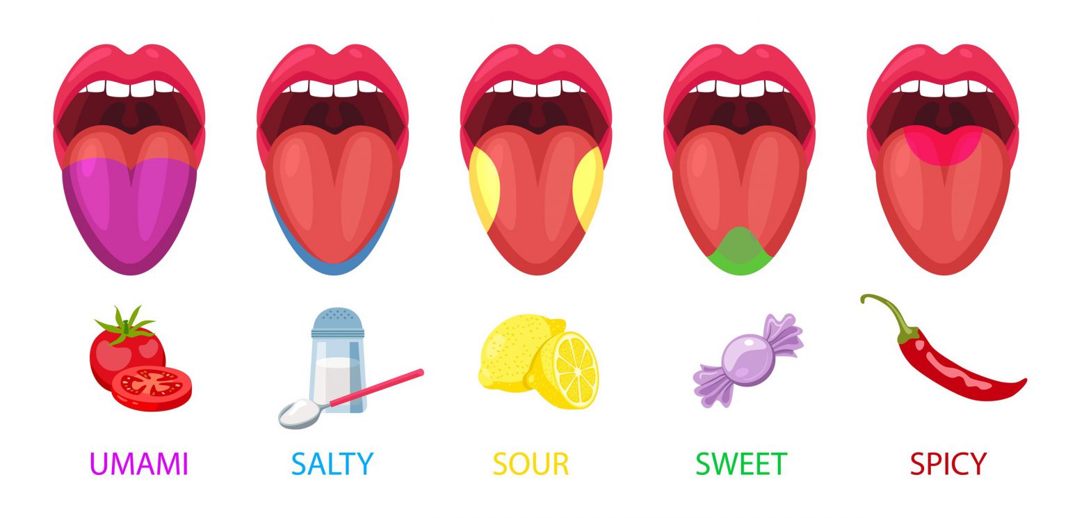 The Tongue S Importance Key To Dental Wellness Dentaprime UK